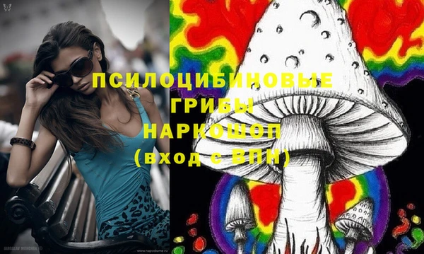 мяу мяу мука Алексин