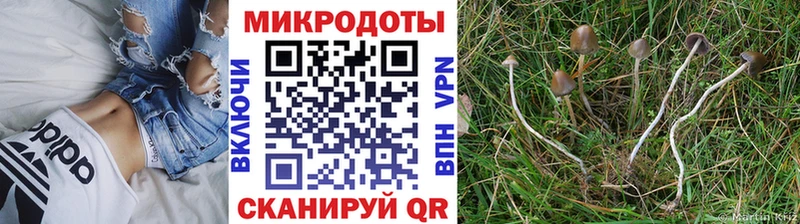 Псилоцибиновые грибы Magic Shrooms Дудинка